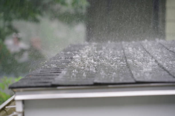  Hockinson, WA Roofing Service Pros